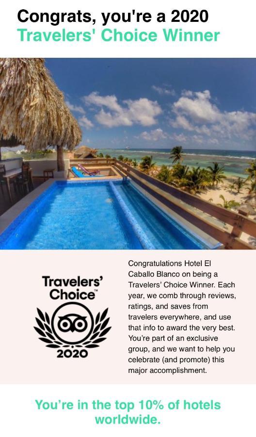 Hotel El Caballo Blanco Mahahual Kültér fotó