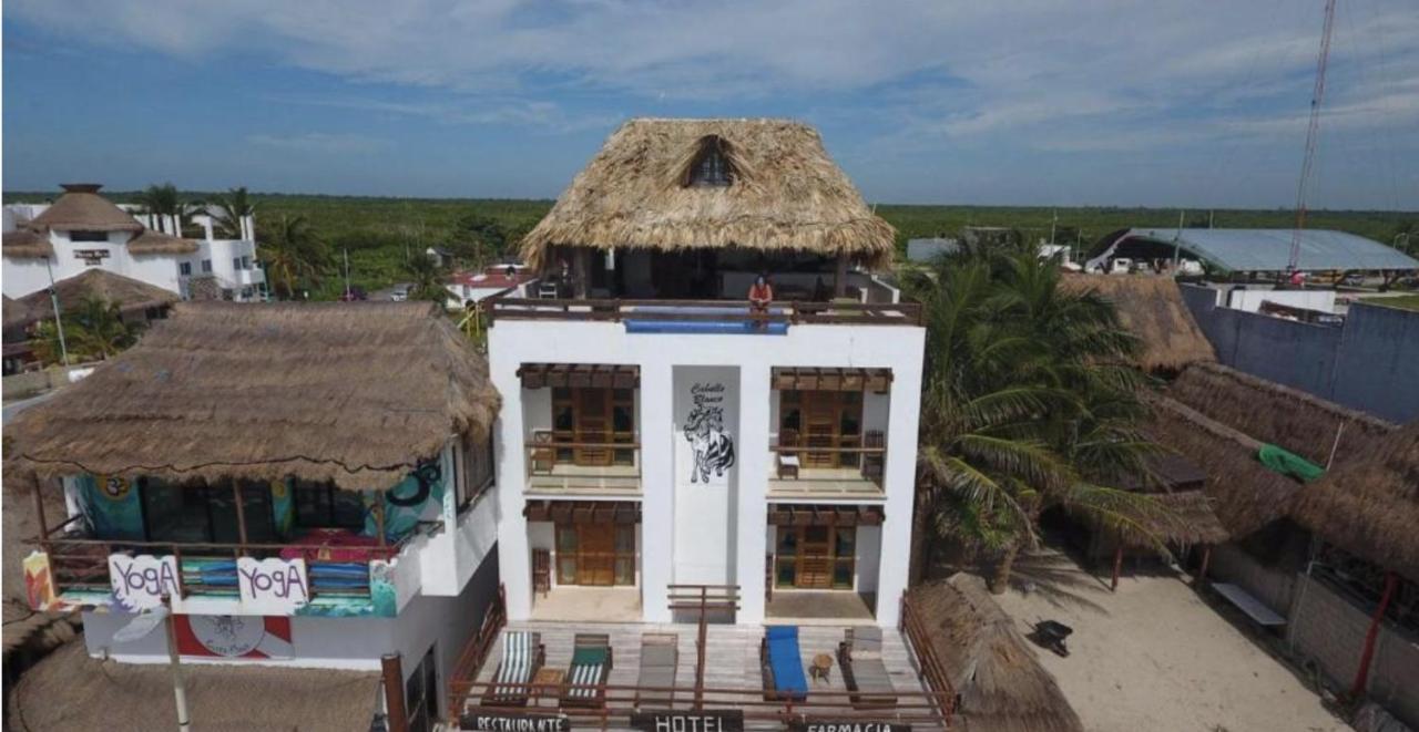 Hotel El Caballo Blanco Mahahual Kültér fotó